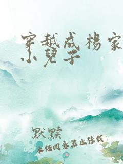 穿越成杨家将最小儿子