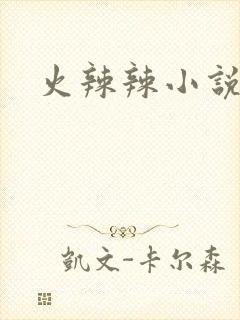 火辣辣小说全集