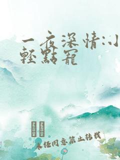 一夜深情:小叔轻点宠
