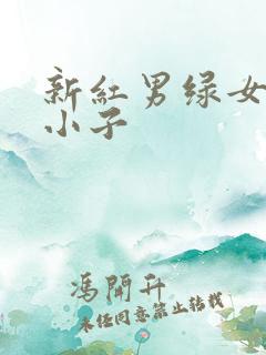 新红男绿女之坏小子