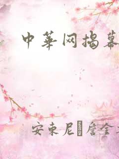 中华网揭幕内参