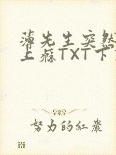 薄先生突然黏她上瘾TXT下载