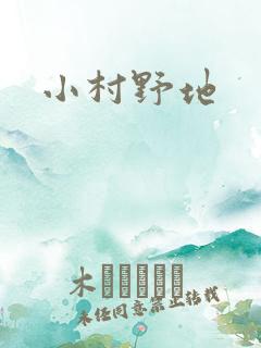 小村野地