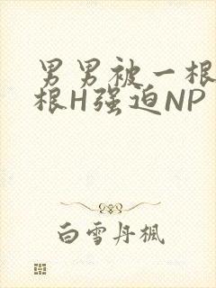 男男被一根又一根H强迫NP