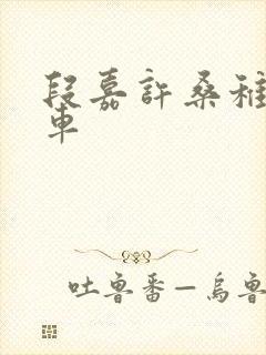 段嘉许桑稚浴室车