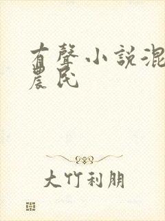 有声小说混世小农民