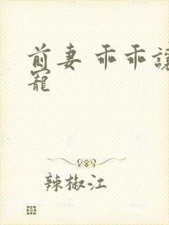 前妻 乖乖让我宠