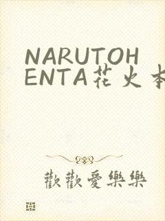 NARUTOHENTA花火本子
