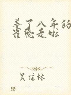 养了八年的金丝雀飞走啦