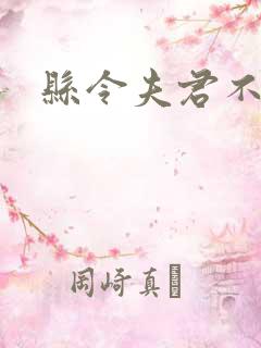 县令夫君不升堂