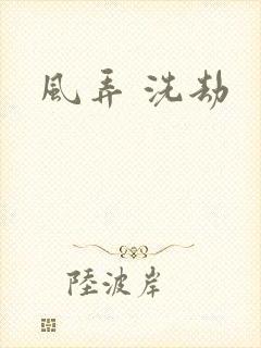风弄 洗劫