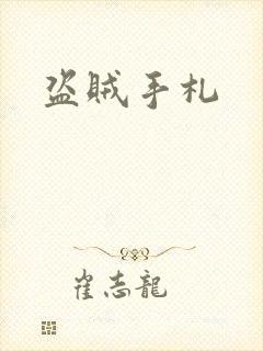 盗贼手札