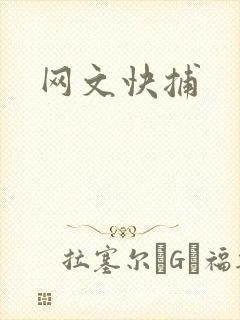 网文快捕
