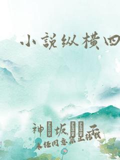 小说纵横四海