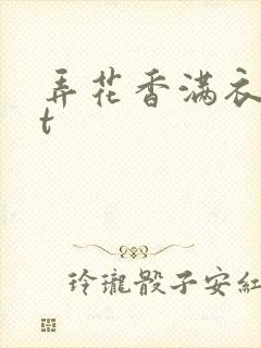 弄花香满衣txt