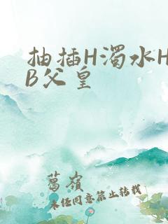 抽插H浊水H嫩B父皇
