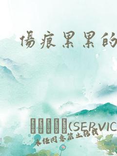 伤痕累累的勋章