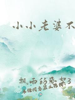 小小老婆不受宠