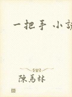 一把手 小说