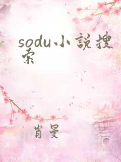 sodu小说搜索
