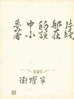 梦中的那片海原著小说在线阅读