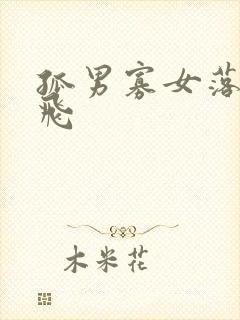 孤男寡女落瑛纷飞