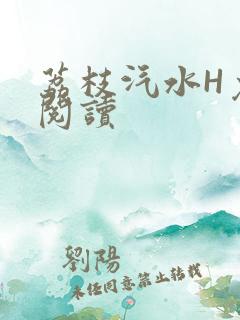 荔枝汽水H免费阅读