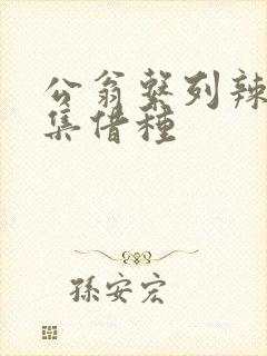 公翁系列辣文全集借种