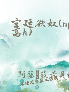 宫廷欲奴(np高h)