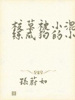 校草被小混混训练成狗的小说