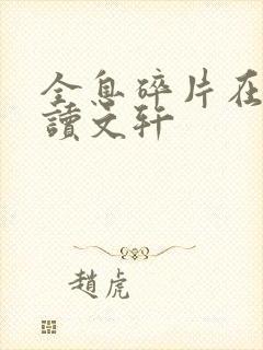 全息碎片在线阅读文轩