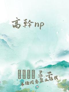 高干np