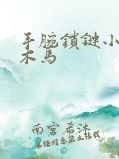 手腕锁链小黑屋木马