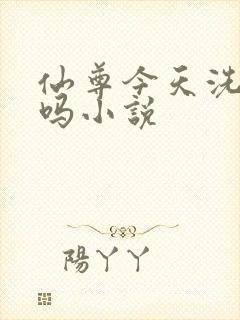 仙尊今天洗白了吗小说