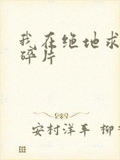 我在绝地求生捡碎片