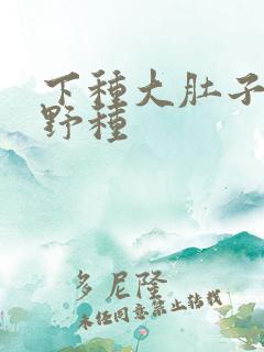 下种大肚子怀孕野种