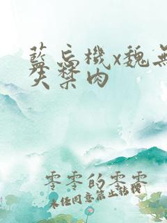 蓝忘机x魏无羡失禁肉