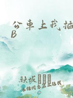 公车上我插上骚B