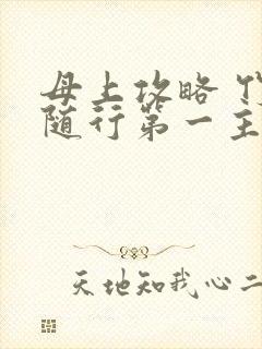 母上攻略 竹影随行第一主板