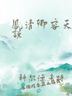 凤清卿容天凌小说