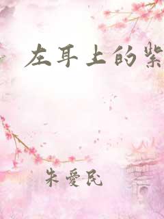 左耳上的紫水晶