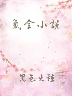 氪金小说