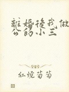 离婚后我做了老公的小三