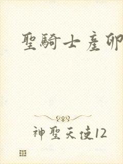 圣骑士产卵记