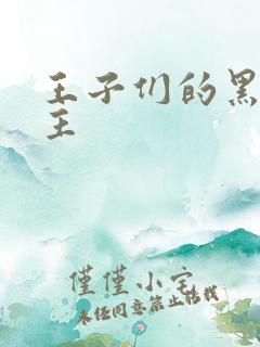 王子们的黑道公主