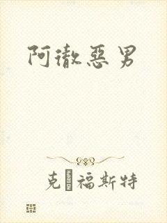 阿彻恶男