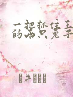 一把抓住王昭君的两只兔子