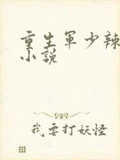 重生军少辣娇妻小说