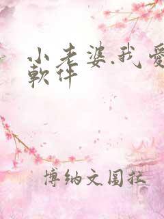 小老婆.我爱你软件