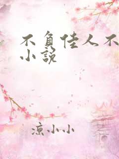 不负佳人不负卿小说